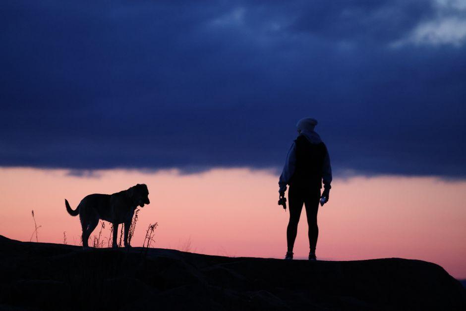 Silhouette d'une femme et de son chien en promenade sous un ciel de crépuscule