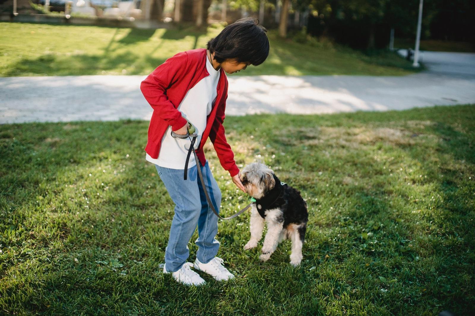 Illustration : Éducation Positive : félicitez plutôt que de punir votre chien